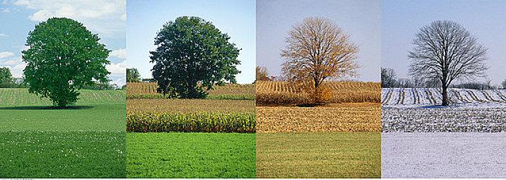 《星刃》女主早期形象曝光 玩家：还是现在的好看
