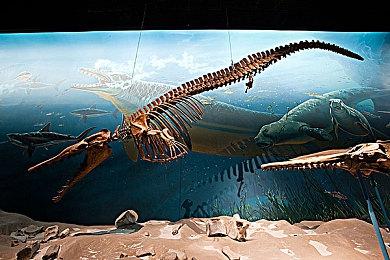 国风武侠《武林志2》五大必打卡场景曝光，古城剑冢暗藏杀机